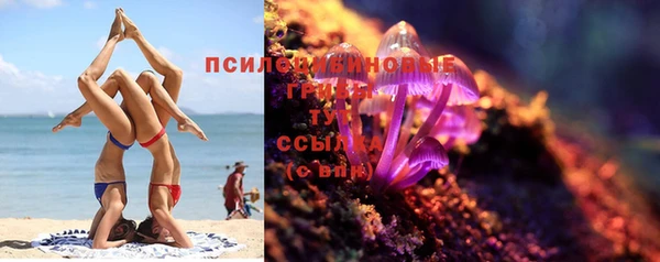 молекула духа Арсеньев