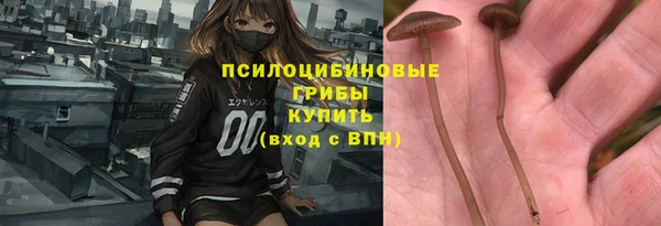 молекула духа Арсеньев