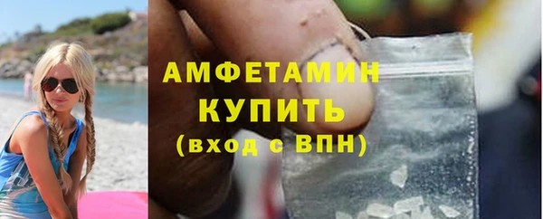 молекула духа Арсеньев
