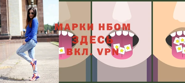 молекула духа Арсеньев