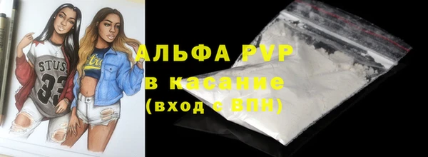 молекула духа Арсеньев