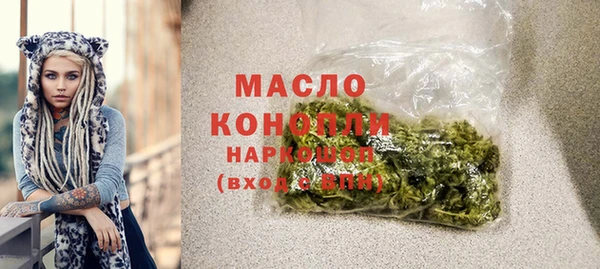 молекула духа Арсеньев