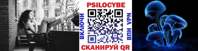 Галлюциногенные грибы MAGIC MUSHROOMS  магазин продажи   Нефтекумск 